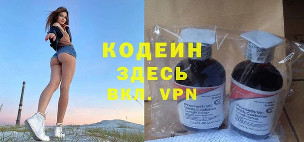 индика Балахна