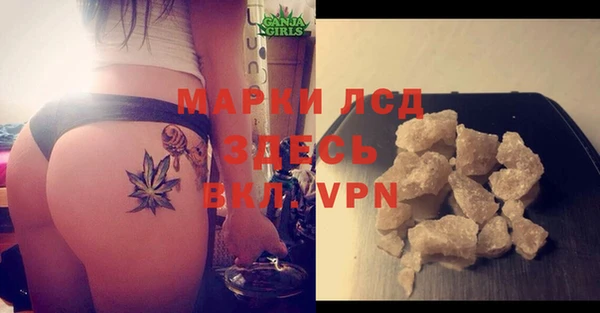 шишки Баксан
