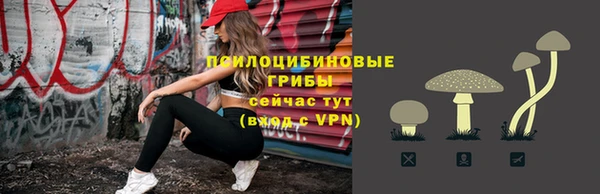 шишки Баксан