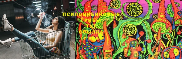 индика Балахна