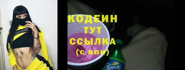 шишки Баксан