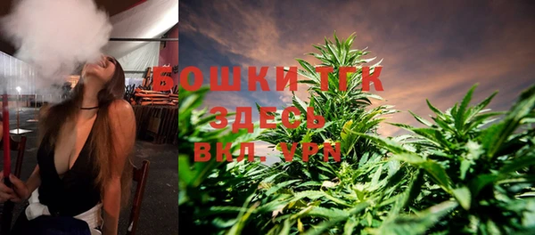 индика Балахна