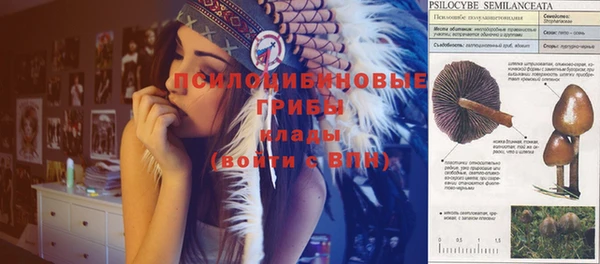 индика Балахна
