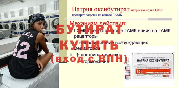 индика Балахна
