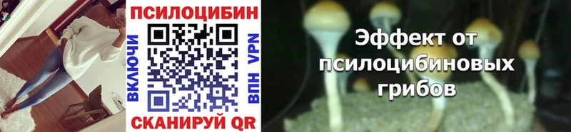 Псилоцибиновые грибы Psilocybine cubensis мега Белёв